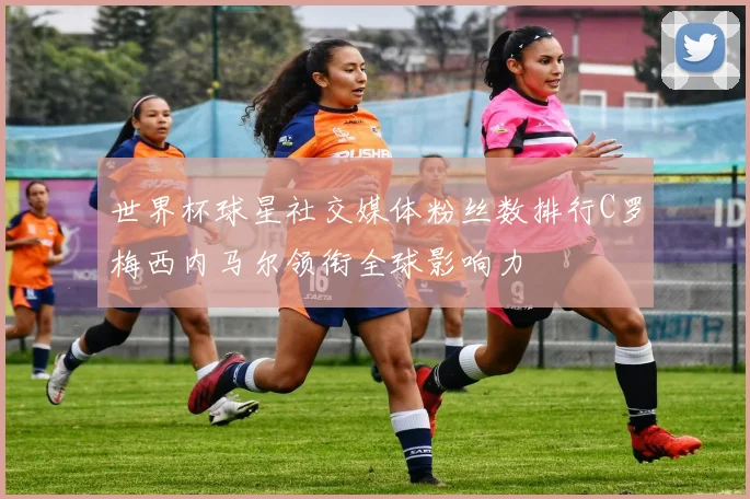 世界杯球星社交媒体粉丝数排行C罗梅西内马尔领衔全球影响力