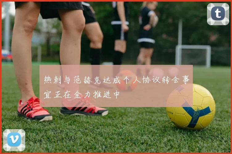 热刺与范赫克达成个人协议转会事宜正在全力推进中